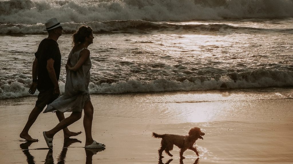 andhaltig_Walk and Talk